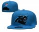 Carolina Panthers Blue Cap